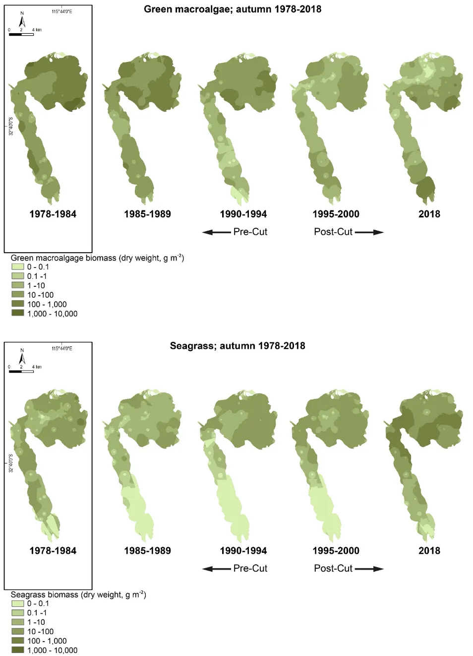 Average autumn biomass of green macroalgae (top) and seagrass (bottom) interpolated throughout the Peel-Harvey Estuary in each period from 1978–2018. Interpolated values were derived from the average biomass at each site in each period.