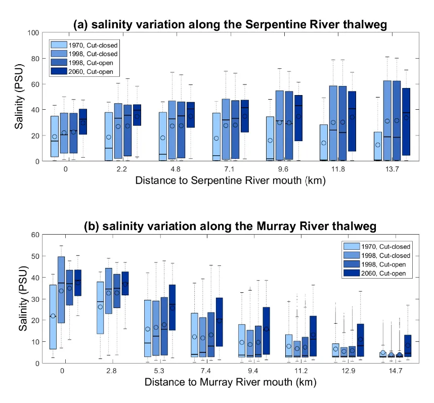 Longitudinal gradient in annual salinity variability in four selected scenarios (1970, 1998 without the Cut opening, 1998 with the Cut opening, and a future scenario 2060 with assumptions of reduced flow and sea level rise) moving upstream along the (a) Serpentine River and (b) Murray River. 