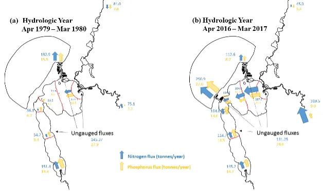 Whole estuary view of annual TN/TP fluxes transported by currents through the system comparing 1979 (left) and 2016 (right). The size of the arrow indicates the flux rates relative to the inputs. Note the large Murray River in put in the 2016 hydrologic year is attributable to the Feb 2017 summer flood event.