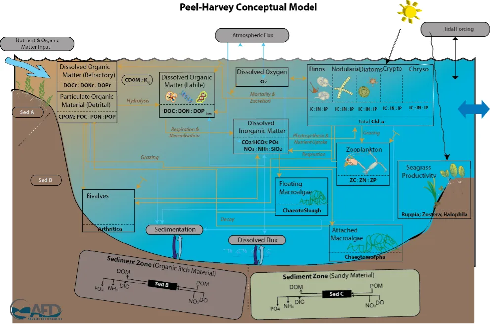 AED water quality model diagram summarising interactions captured with the PHERM simulations.