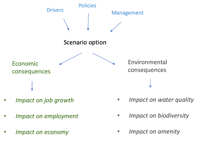 Decision support logic for scenario testing.