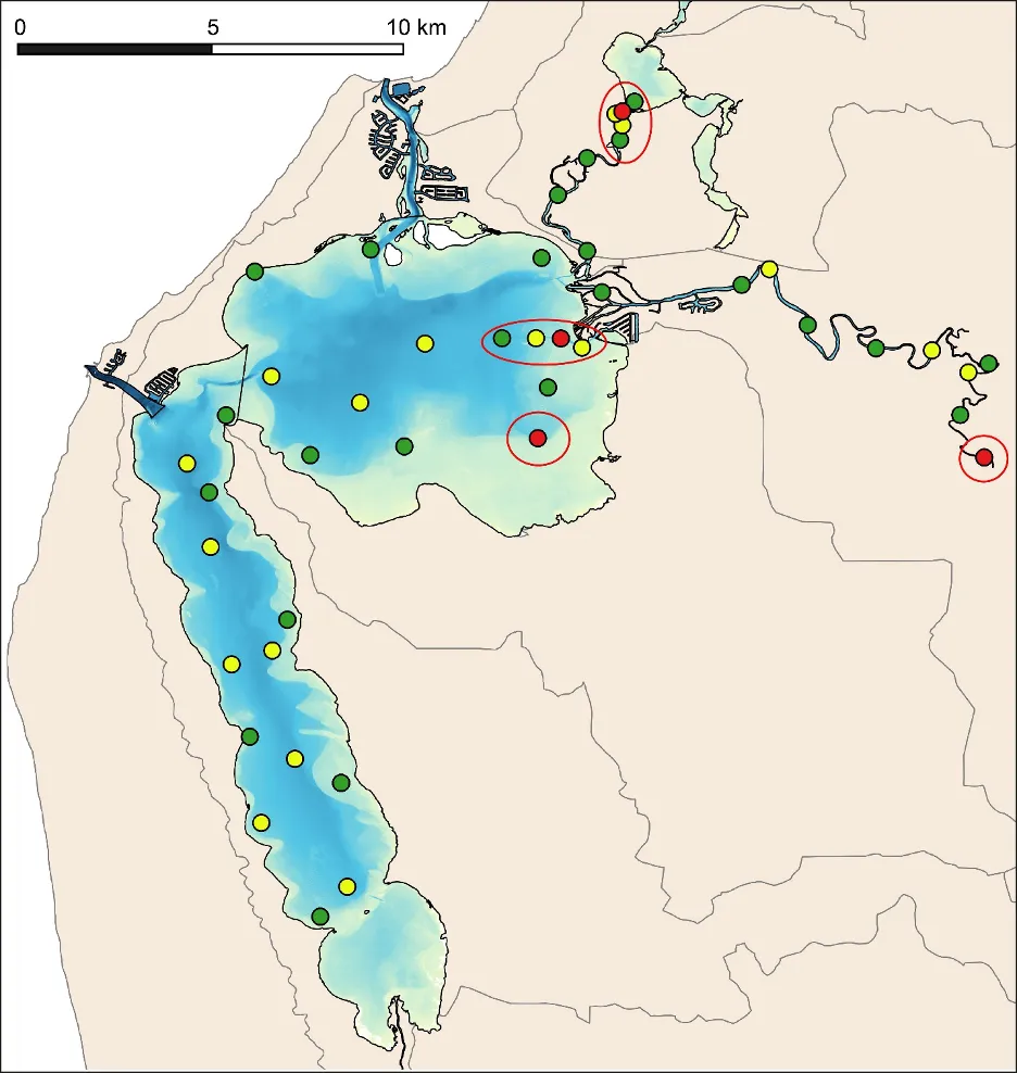 Map of suggested sites for future monitoring of sediment condition throughout the estuary, based on the outcomes of the current study. Colours indicate sediment condition class, as assessed in the 2016 survey (green, Good; yellow, Fair; red, Poor). Red ellipses denote ‘watch’ areas, i.e., those deemed at greatest risk of impacted sediment condition, and which are particularly likely to require ongoing monitoring and management. Note that the location of all sites is provisional, and should be tailored for purpose prior to finalising any monitoring regime.