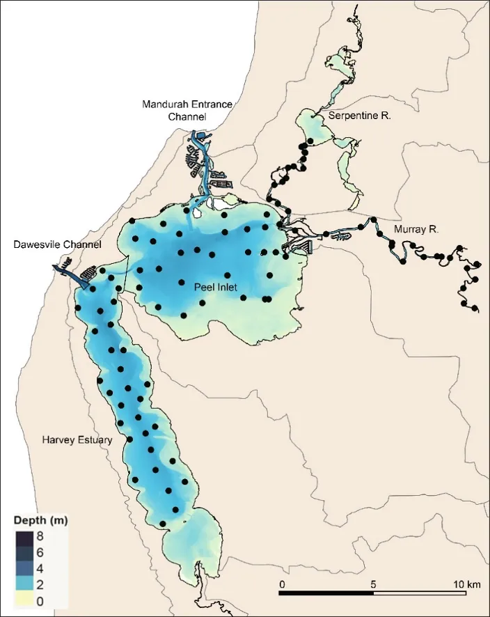 Map of the sites at which sediments were sampled in the Peel-Harvey Estuary in 2016.