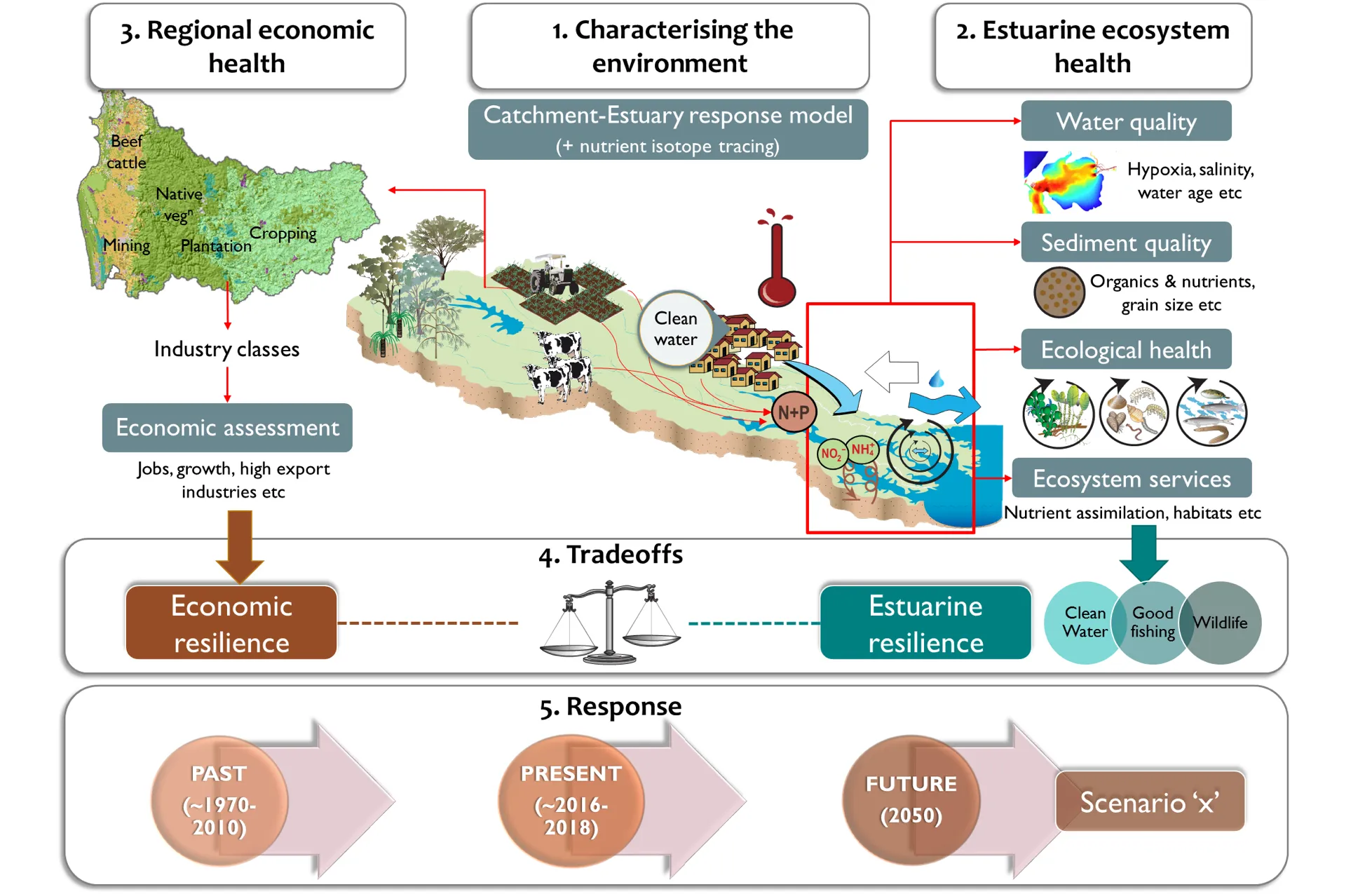 Conceptual diagram of the main study components underpinning the DSS for balancing tradeoffs between estuarine and economic health in the Peel-Harvey. Past and present data inform the ability of the DSS to predict future tradeoffs under stakeholder-defined scenarios, and hence inform management response.